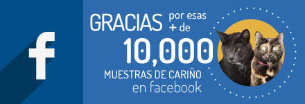 central pets en las redes