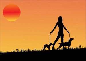 Pasear