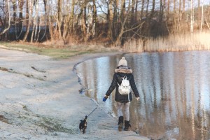 caminata de perros