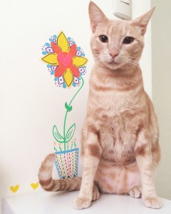 Fausto (2)