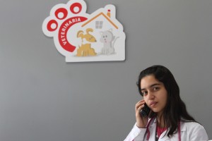 importancia de llamar al veterinario