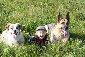 Niño y Perro