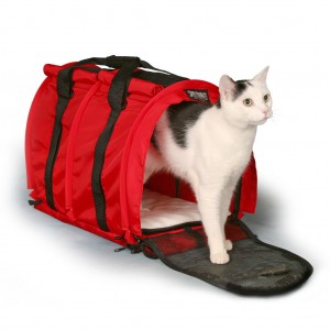 kennel gato