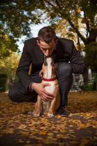 cómo educar a mi perro