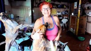 argentina que recoge perros de la calle