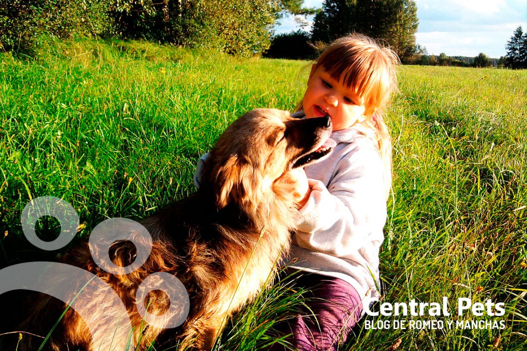 perros y niños