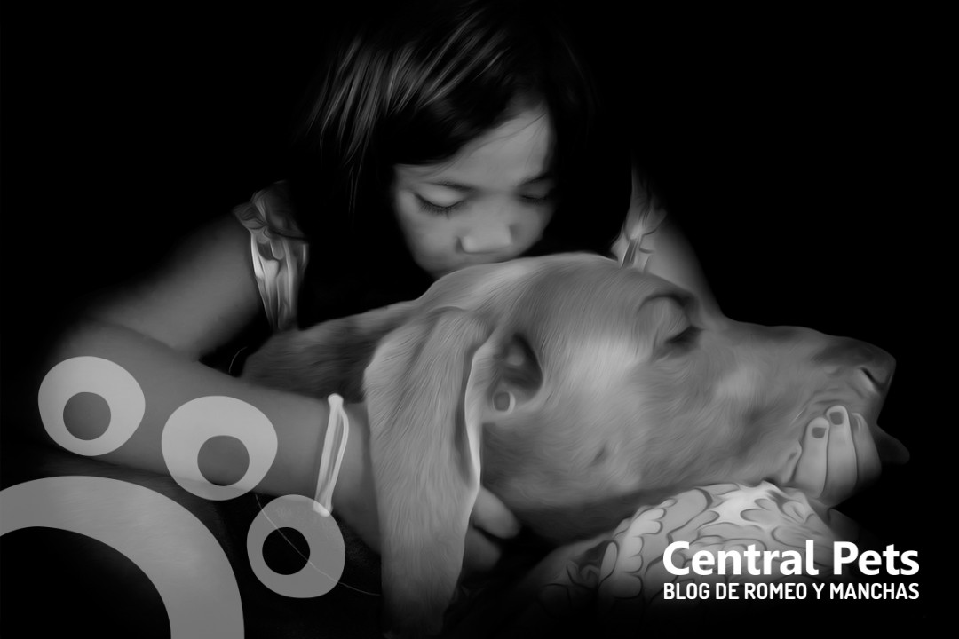 porque amar a los animales