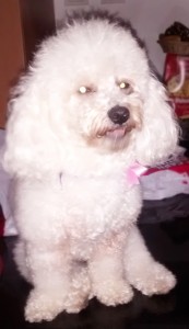 Lola en casa