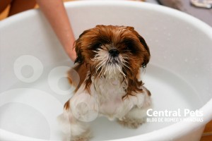 VCP-marcofotoblog