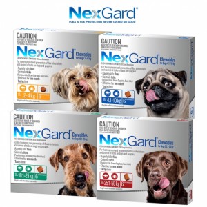NEXGARD