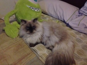 Percy04