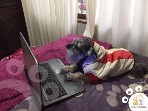 Donato con logo4